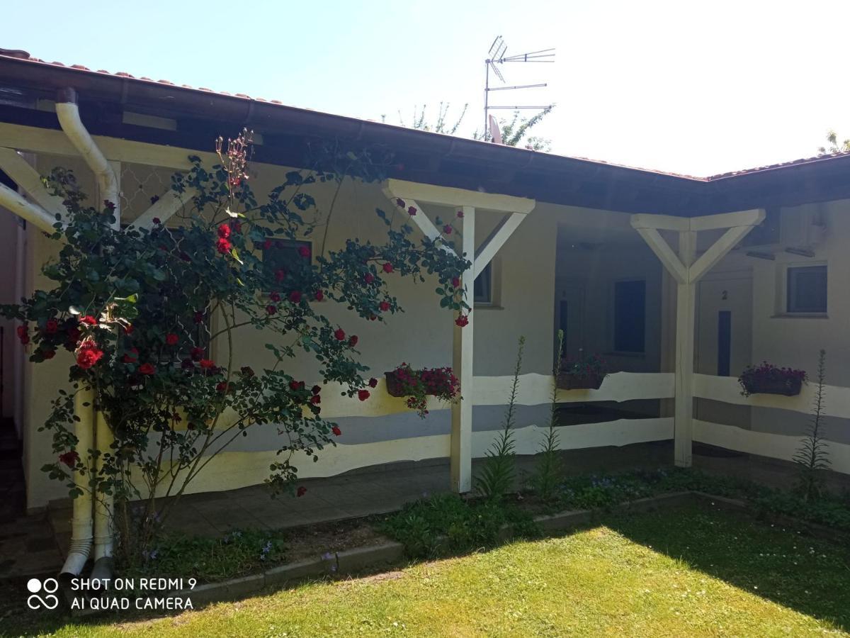 Rooms Lutra Bilje Exterior photo