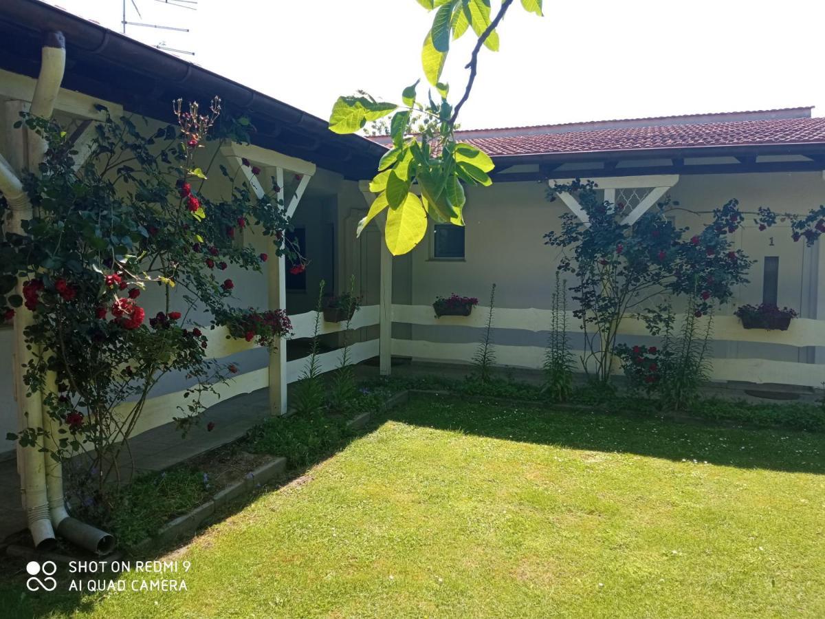 Rooms Lutra Bilje Exterior photo